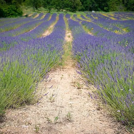 Les Bories Etoilees, * Forcalquier